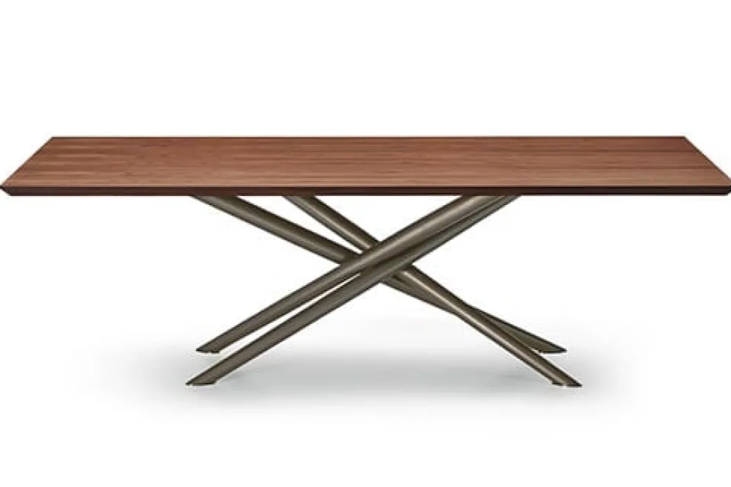 BALY WOOD Esstisch