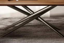BALY WOOD Esstisch