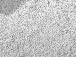 BAOBAB Teppich