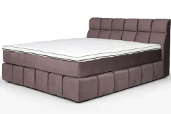 LNC PREMIUM Topper